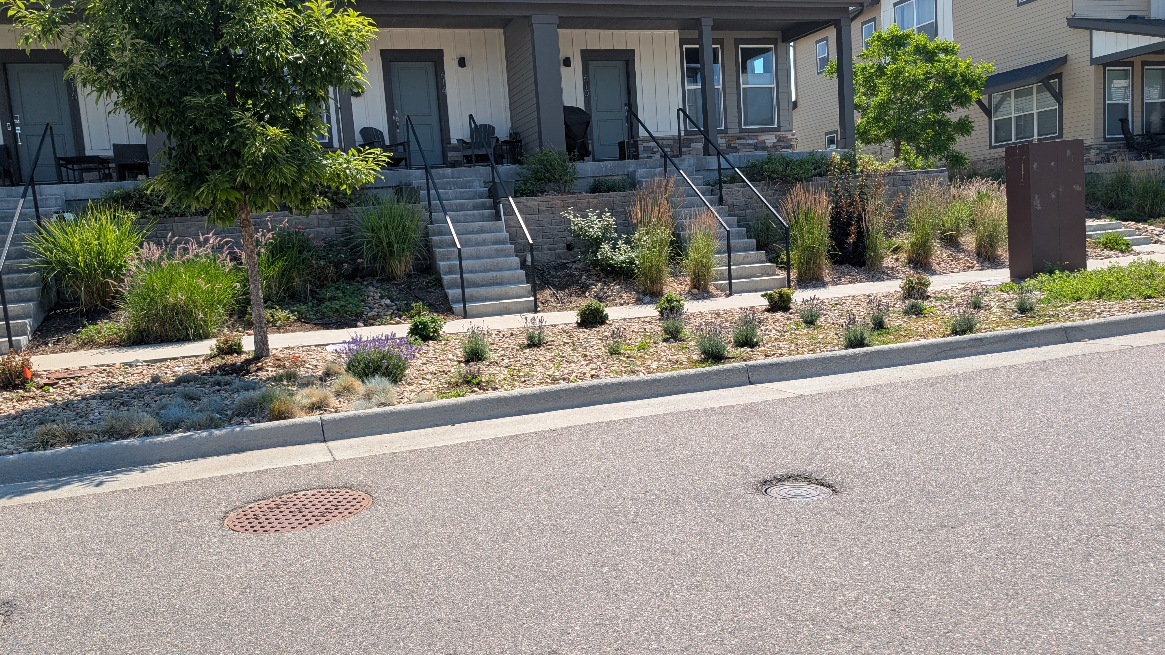 This is one section of Discovery Parkway. Xeriscape! Almost exactly right (but they went and put sprinklers in this section too - why??)